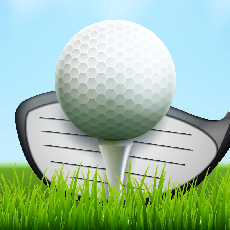 Mini Golf Club